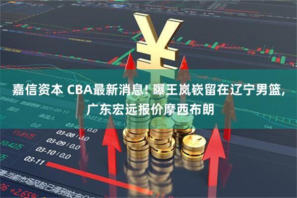 嘉信资本 CBA最新消息! 曝王岚嵚留在辽宁男篮, 广东宏远报价摩西布朗